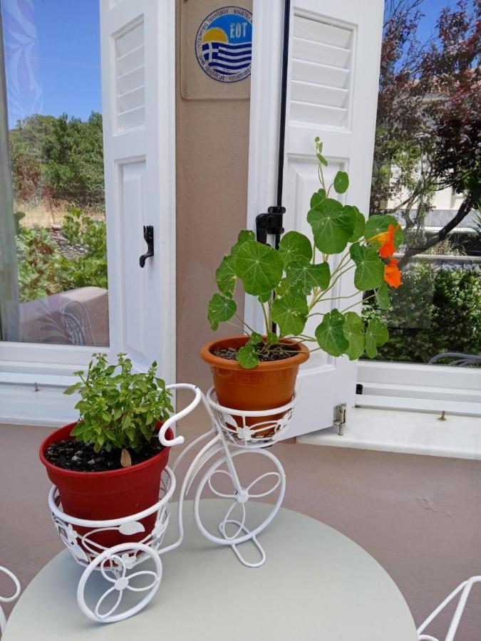 Andros Lighthouse Apartments Mesaria  Dış mekan fotoğraf
