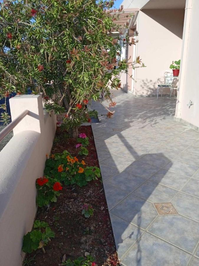 Andros Lighthouse Apartments Mesaria  Dış mekan fotoğraf